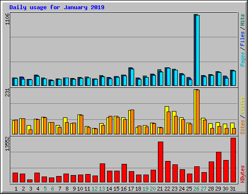 Daily usage for January 2019
