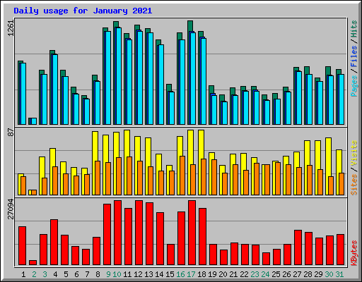 Daily usage for January 2021
