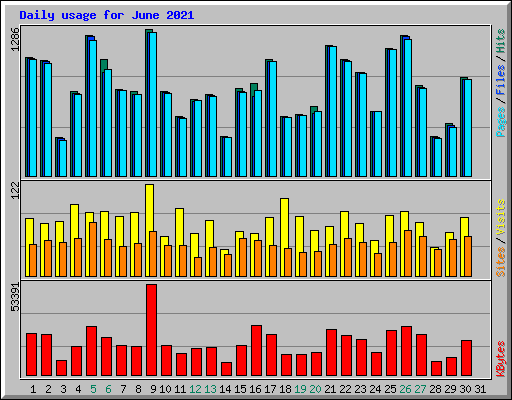 Daily usage for June 2021