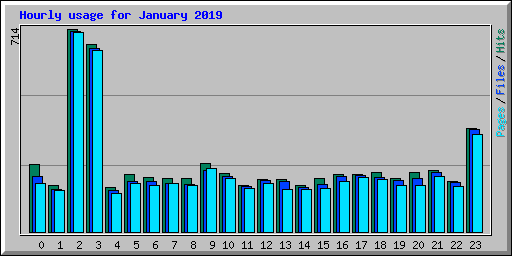 Hourly usage for January 2019