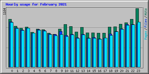 Hourly usage for February 2021