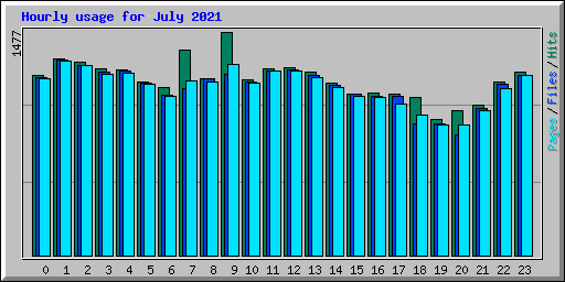 Hourly usage for July 2021