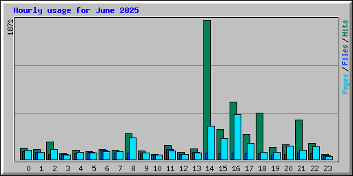 Hourly usage for June 2025
