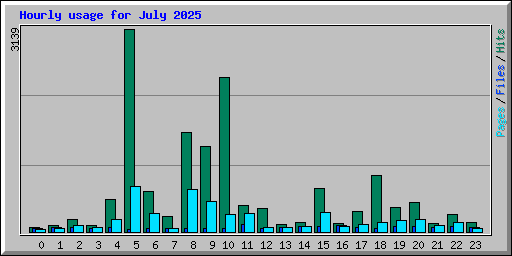 Hourly usage for July 2025