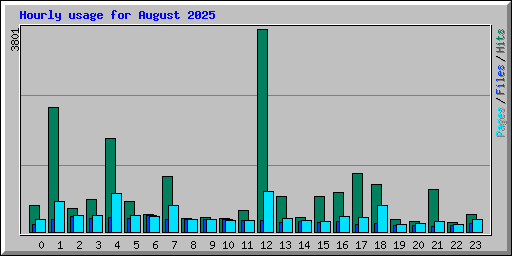 Hourly usage for August 2025